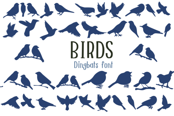 Beyond the Alphabet: Elevating Design with the Birds Font